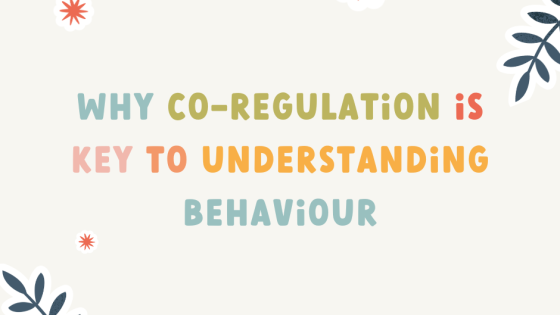 Why Co-Regulation Is Key to Understanding Behaviour