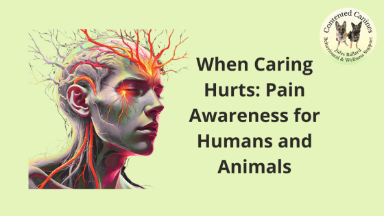 When Caring Hurts: Pain Awareness for Humans and Animals