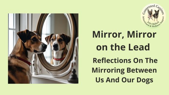 Mirror, Mirror on the Lead