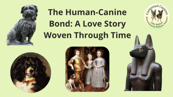 The Human-Canine Bond: A Love Story Woven Through Time