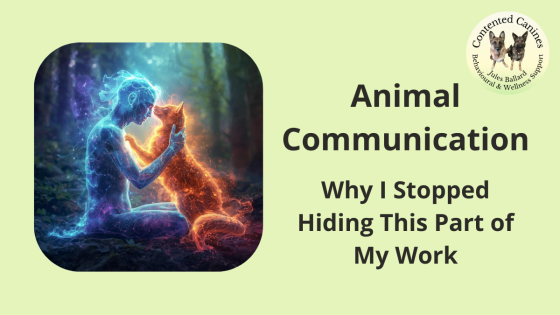 Animal Communication