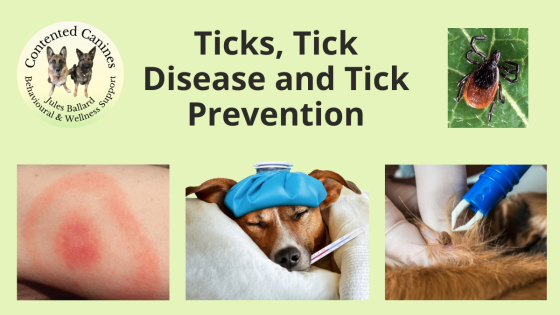 Ticks, Tick Disease and Tick Prevention