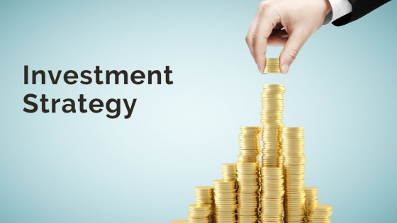 Investment Strategy