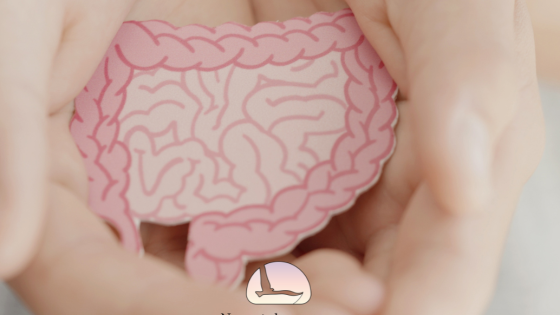 The Gut-Brain connection – why does it matter to your energy levels?
