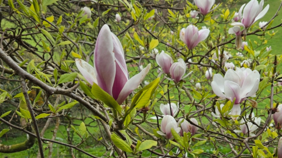 Why Spring is the Perfect Time to Reset Your Goals (+ 5 Simple Tips to Start Strong)