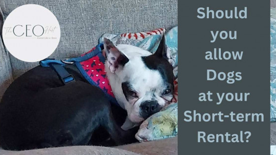 Hosting PAWesome guests at your short-term rental property; Everything you Need to Know to Host Dogs