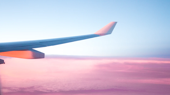 IELTS academic writing task 1 - The Overview: your make or break at 30,000 feet