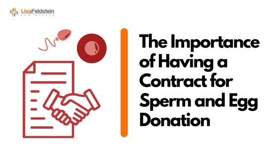The Importance of Having a Contract for Sperm and Egg Donation