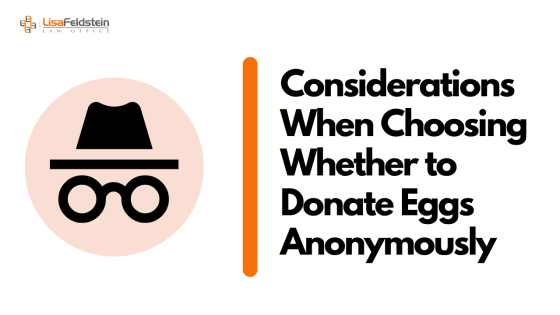 Considerations When Choosing Whether to Donate Eggs Anonymously