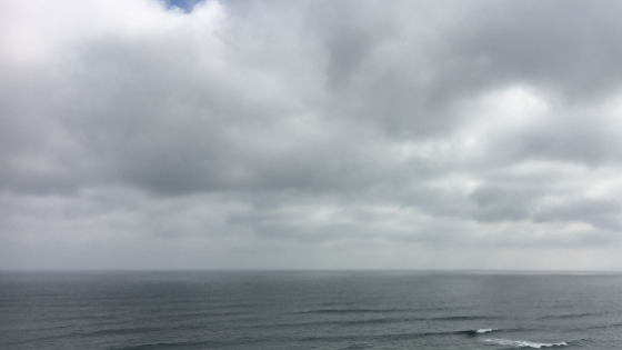 50 Tons de Analistas do Comportamento