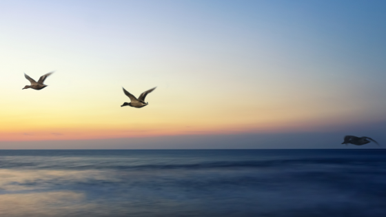 A snapshot of my complex trauma recovery
