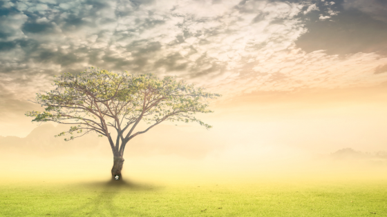 Strategic Spirituality: A Pathway out of Addiction