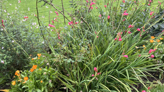 Getting Back to Nature