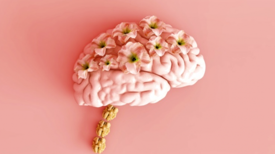 Vad sägs om att ta en pratstund om MINDSET ?