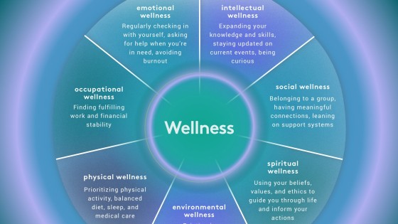 The Perfect Wheel of Wellness: How to Optimize Your Life