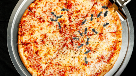 🍕 Your Life is Like a Pizza Pie!