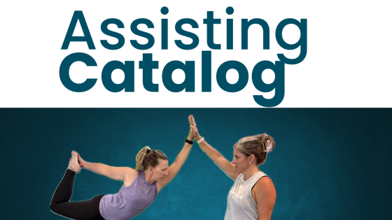 Assisting Catalog