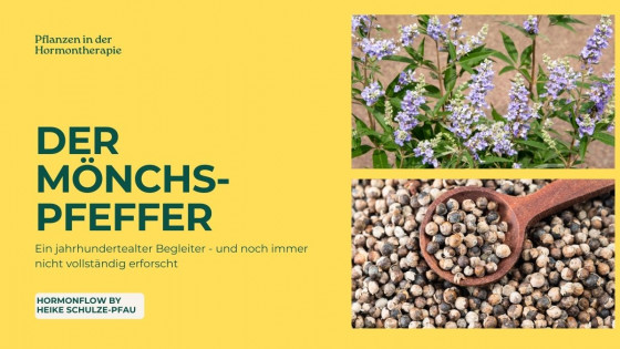 Mönchspfeffer 