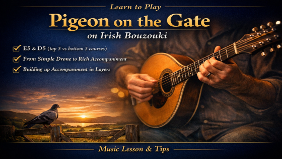 How To Accompany Reels on Irish Bouzouki - Pigeon On The Gate