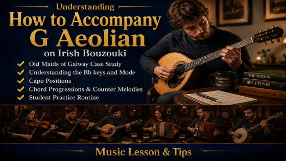 Accompany The Old Maids of Galway on Irish Bouzouki