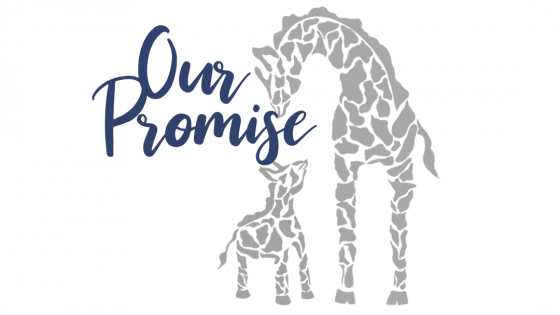 Our Promise