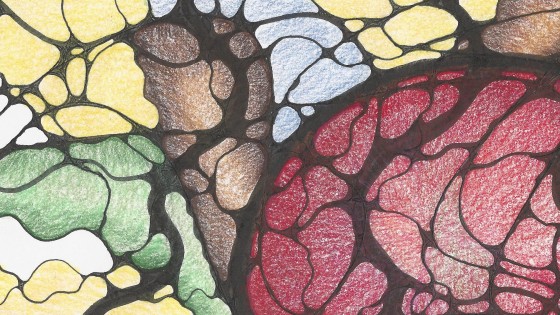 The Boat, the Helicopter, and the Field Lines We Refuse to Embrace