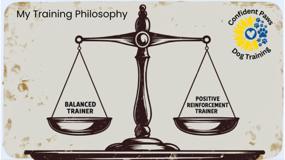 Balanced Training vs Positive Reinforcement Based Dog Training