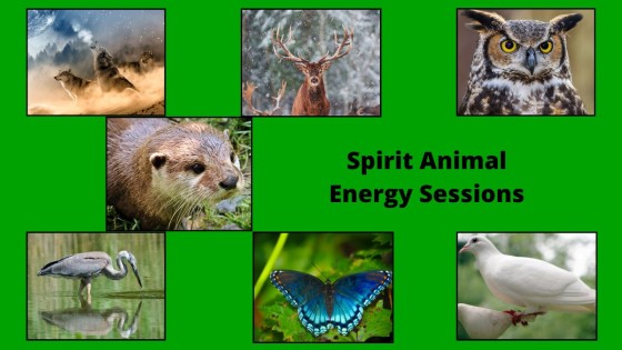 The Wisdom of Spirit Animal Energy: A Path to Balance & Wholeness