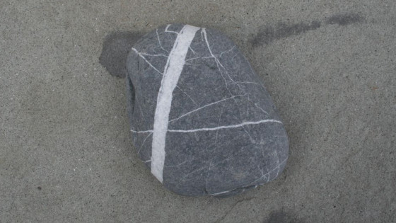 Wabi Sabi – Upptäck skönheten i det ofullkomliga