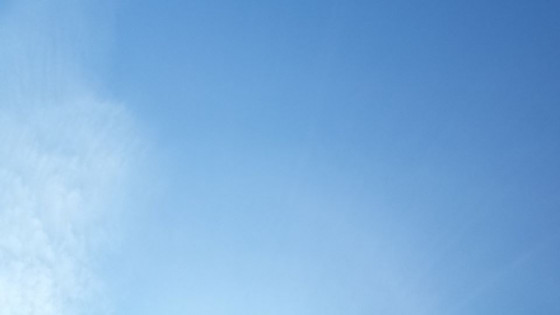 Postcovid – rehabilitering