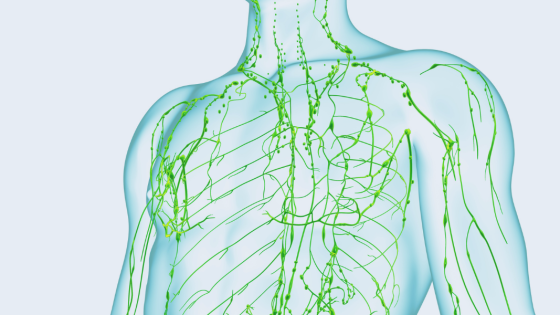 Andningsövning för lymfsystemet