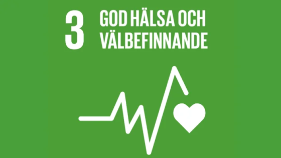 Långvarig ohälsa – när livet inte riktigt återhämtar sig