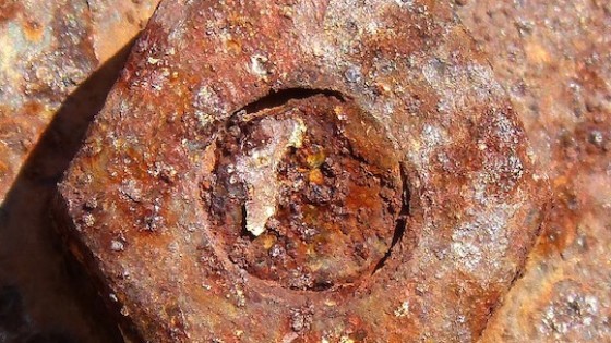 A Universal Cause Of Health & Disease: Iron Dysregulation