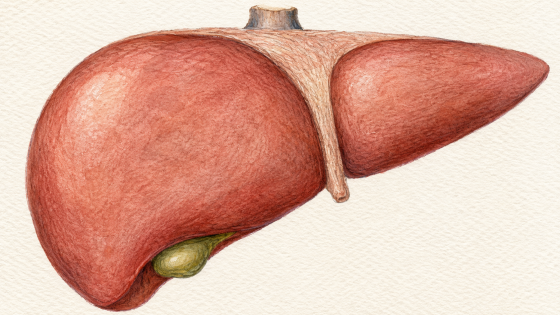 No Matter Your Health Troubles: Always  Put Bile Flow First
