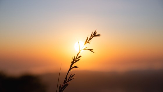 10 Heart-Centred Ways to Create More Joy in Your Life and Work