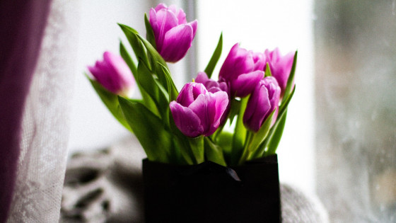 The Ultimate List of Real Estate Pop Bys