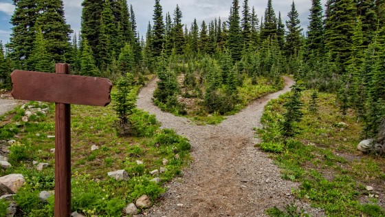 Hybridförlag - omdiskuterat utgivningsalternativ