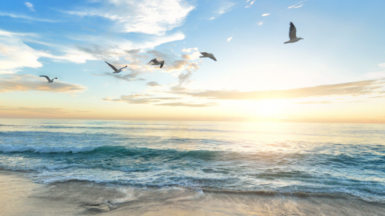 Transform Your Life with Self-Care Affirmations: A Guided Meditation Journey
