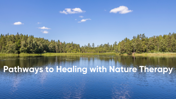 Pathways to Healing with Nature Therapy: Life’s Reset Button