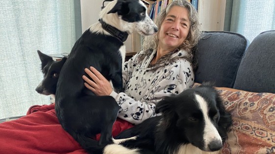 Is Your Dog Naughty or Struggling? What Your Dog’s Behaviour Is Really Telling You