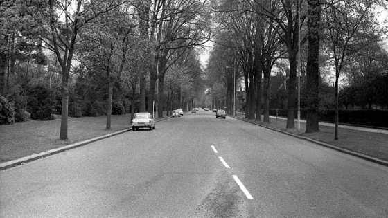 1973 Photo of Park Avenue