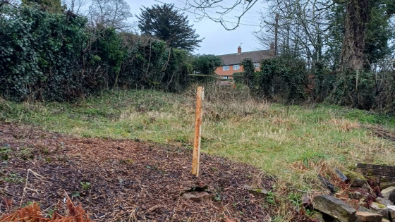 How to Build a she shed Tea Shed - Phase 1