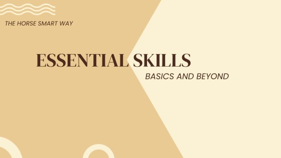 Understanding Horse Body Language: How Horses Interpret Human Energy and Intention