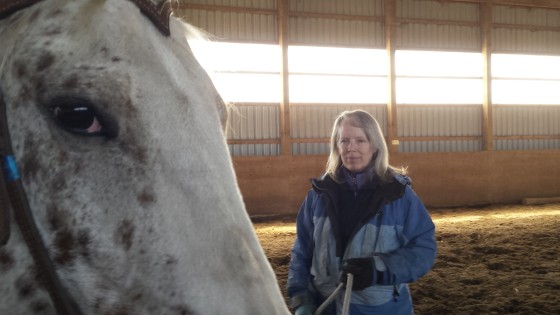How to Avoid Common Horse Training Frustrations – Part 1