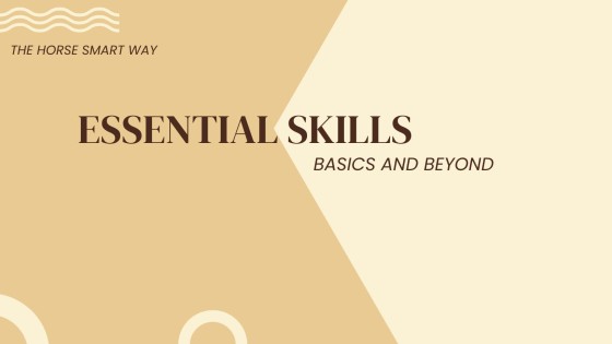 How to Avoid Common Horse Training Frustrations - Part 2