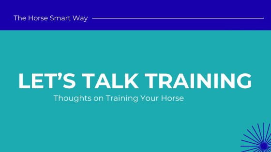 What To Be Doing When Your Horse is at the Trainers