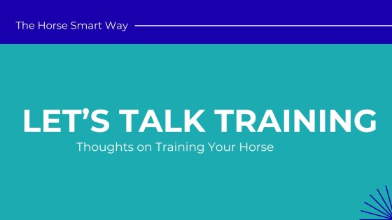 What Must You Do When Your Horse Comes Home from the Trainer