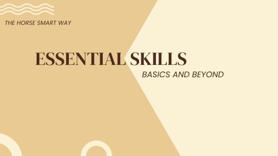 How to Get Your Mare Focused and Cooperative Before You Ride