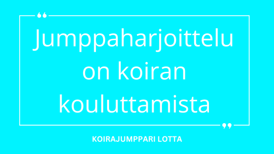 Jumppaaminen on koiran kouluttamista