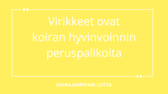 Jokaisen koiran on saatava ruokavirikkeitä päivittäin